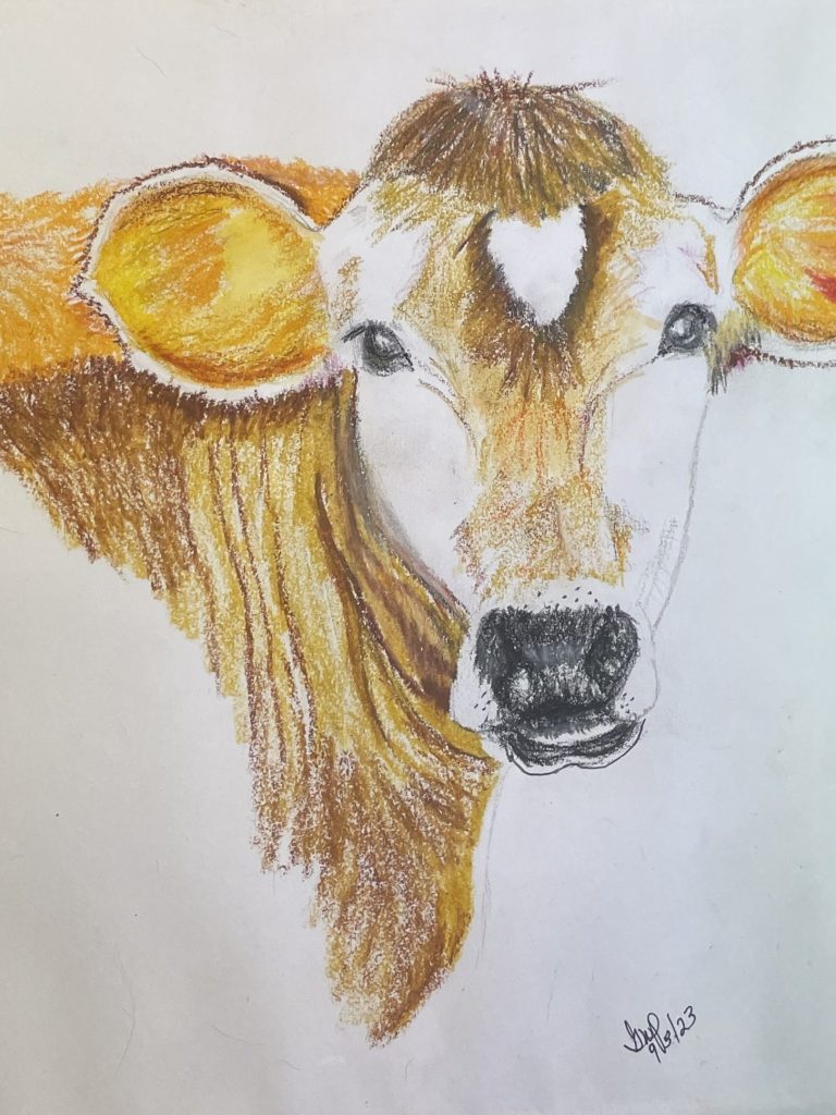 Cow