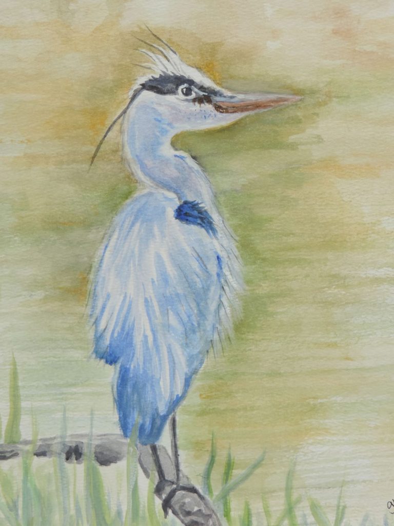 Blue Heron