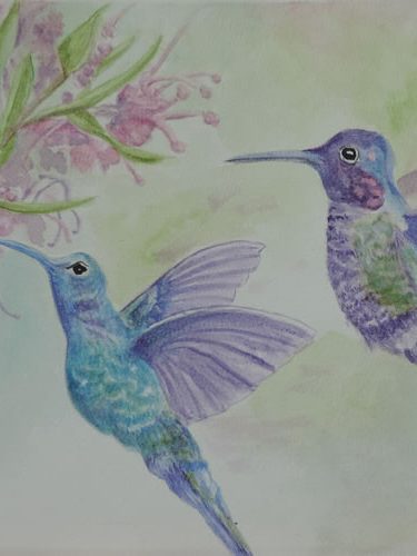 Hummingbirds